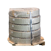 CRNGO Sliting Coils