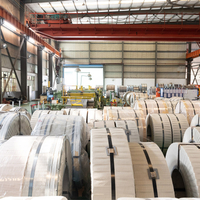 CRNGO Sliting Coils
